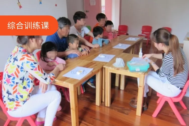 综合训练课
