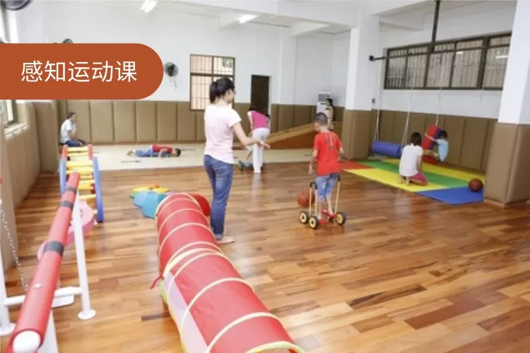感知运动课